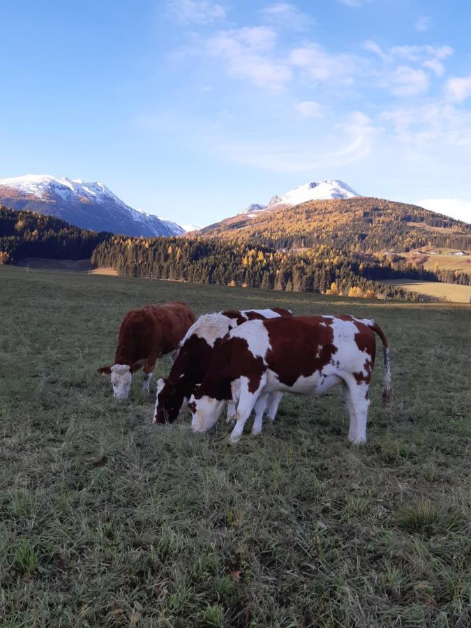 Вилла Bio Bauernhof Schoberhof Sankt Andra im Lungau Экстерьер фото